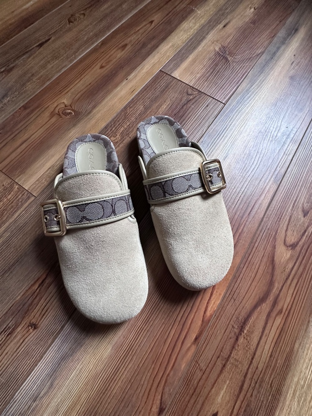 Coach Archival Buckle Clog - Picture 2 of 4